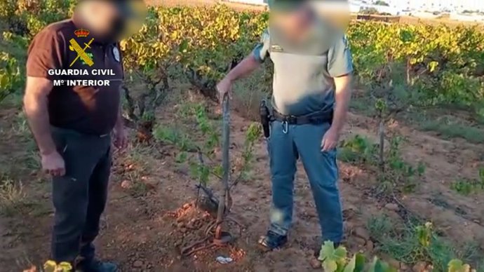 Cepo ilegal hallado en una finca de Almonte por los agentes de la Guardia Civil.