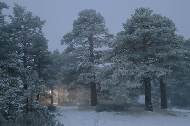 Primera nevada de la temporada en Guadarrama