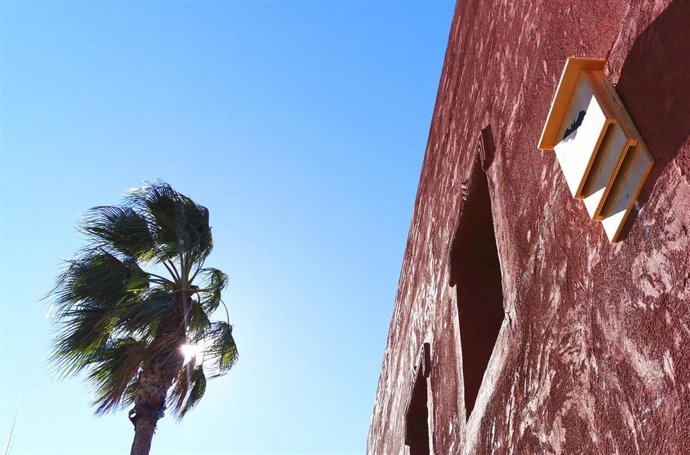 TERRA NATURA BENIDORM INSTALA CAJAS-REFUGIO PARA AYUDAR A LAS POBLACIONES DE MURCIÉLAGOS SILVESTRES