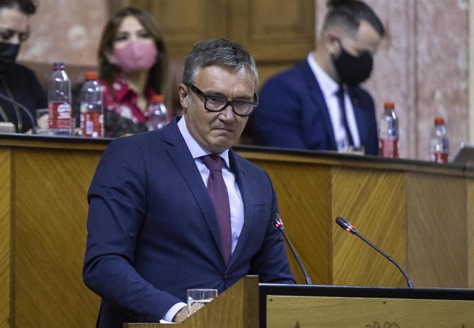 El portavoz del grupo parlamentario Vox en Andalucía, Manuel Gavira