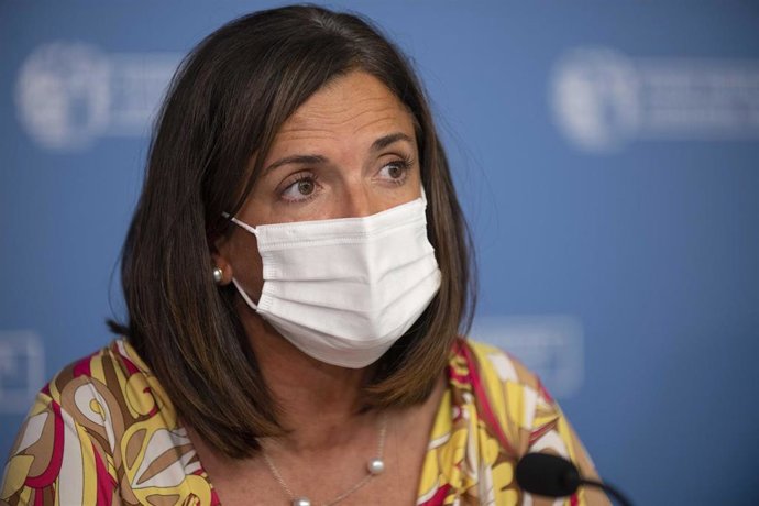 AM.-Gobierno Vasco incorpora a su nuevo plan de convivencia un rechazo a los 'ongietorris' porque "exaltan la violencia"