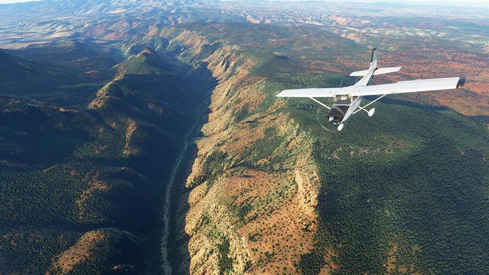 Microsoft Flight Simulator.