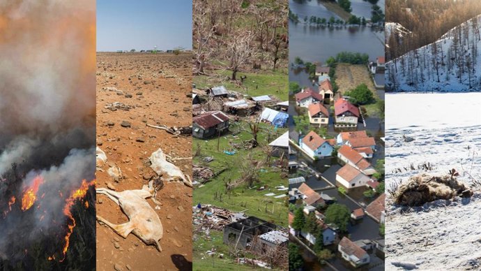 Imágenes de inundaciones, sequías, incendios y otros desastres medioambientales.
