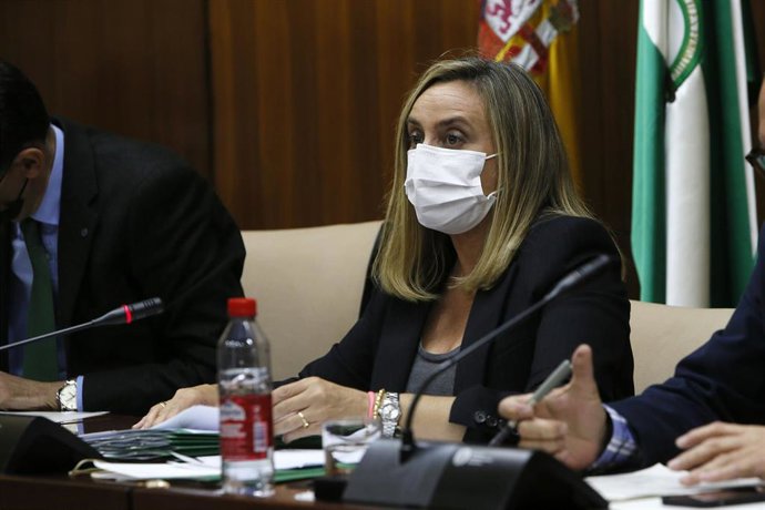 La consejera Marifrán Carazo, en la Comisión de Fomento.