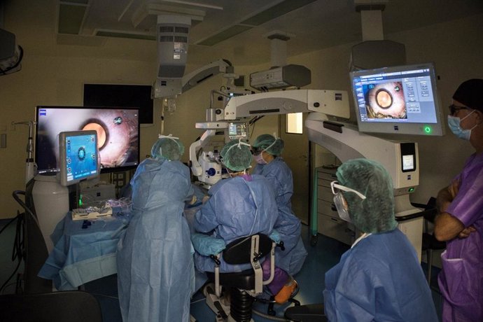 Terapia génica Luxturna para combatir mutaciones relacionadas con cegueras hereditarias