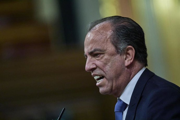 Archivo - El diputado de UPN Carlos García Adanero, interviene en una sesión plenaria en el Congreso 
