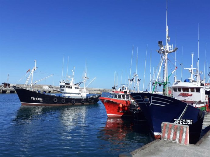 Barcos pesqueros en el puerto de Bermeo (Bizkaia)