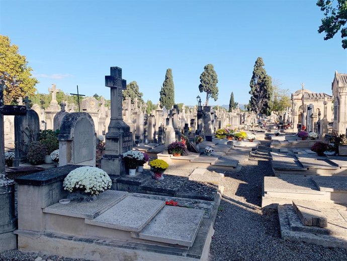 Archivo - El cementerio de Palma.