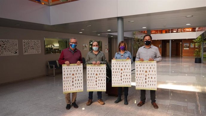 Carteles editados por la Conselleria de Medio Ambiente para dar a conocer los insectos polinizadores de Baleares.
