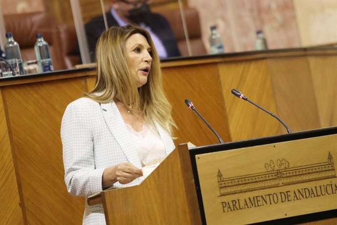 La parlamentaria andaluza de Ciudadanos (Cs) Concha Insúa, en una foto de archivo.