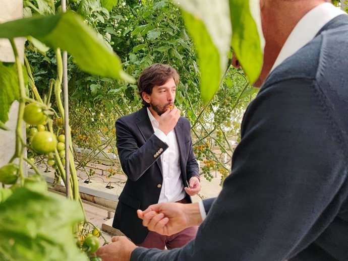 Adrian Vázquez (Cs), en un invernadero de El Ejido (Almería)