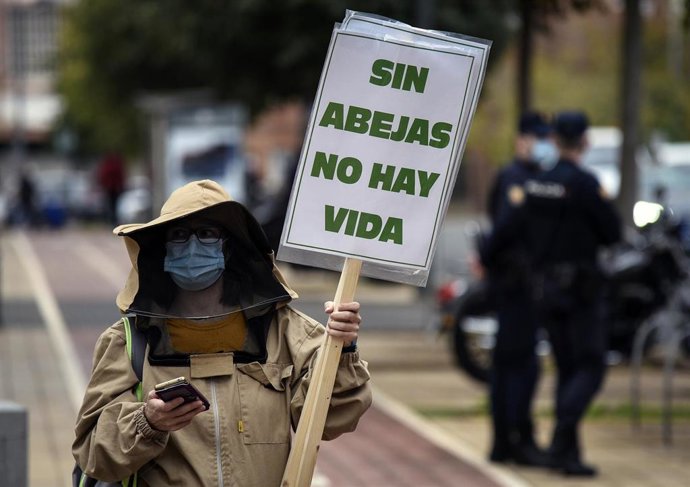 Archivo - Una persona con traje de apicultor con una pancarta reivindicativa en la que se lee 'sin avejas no hay vida' durante un acto de protesta del sector apícola de la Comunitat Valenciana (archivo)