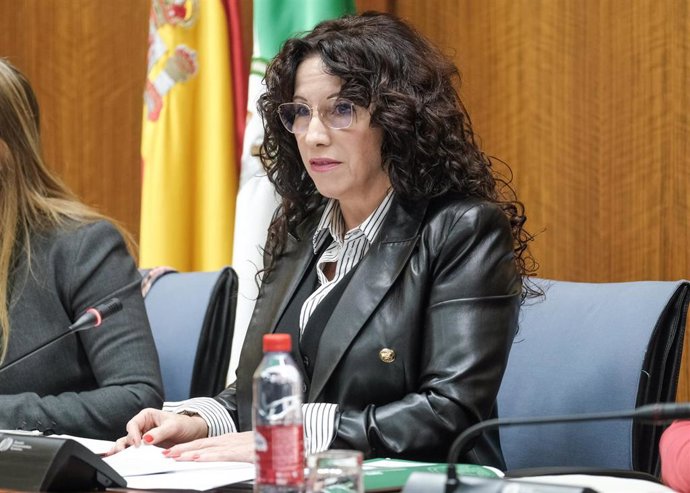 La consejera de Igualdad, Políticas Sociales y Conciliación, Rocío Ruiz