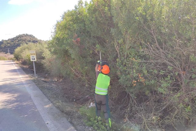 Trabajos de desbroce en una de las carreteras de la red provincial.