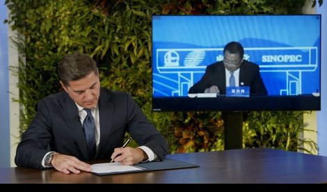 Comunicados Internacional