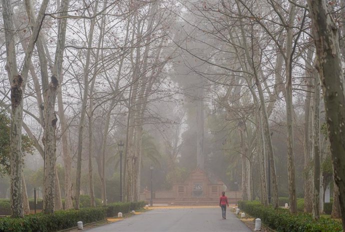 Archivo - Imagen de archivo de un parque con nieblas