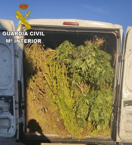 La Guardia Civil detiene a dos personas que viajaban con 840 kilos en plantas de marihuana