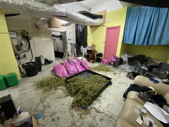 Lonja en la que se localizó la plantación de marihuana en Bilbao