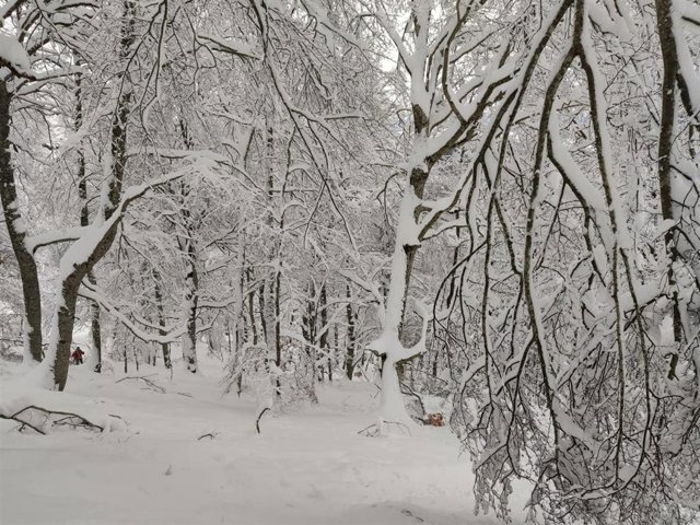 Archivo - El 112 sigue registrando incidencias en Castilla-La Mancha por nieve y hielo