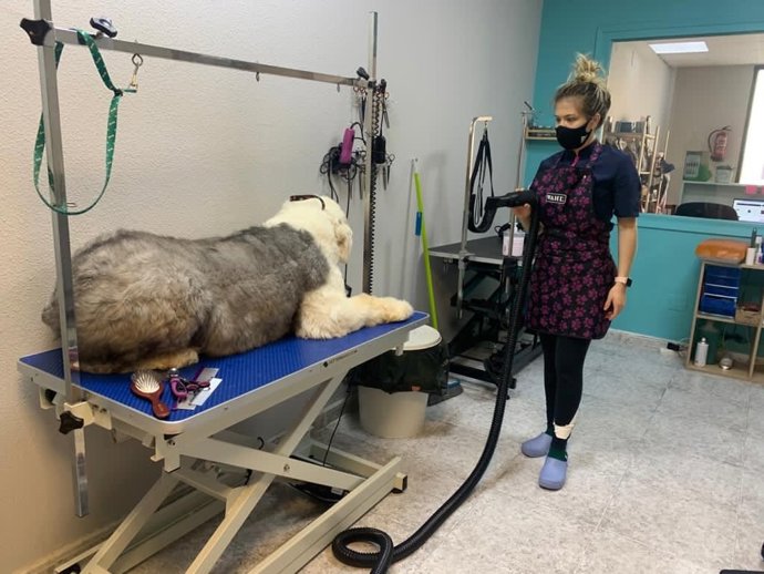 La DPZ distribuye 150.000 euros en ayudas para 64 mujeres emprendedoras de la provincia.