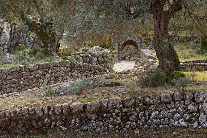 Serra de Tramuntana. Archivo.