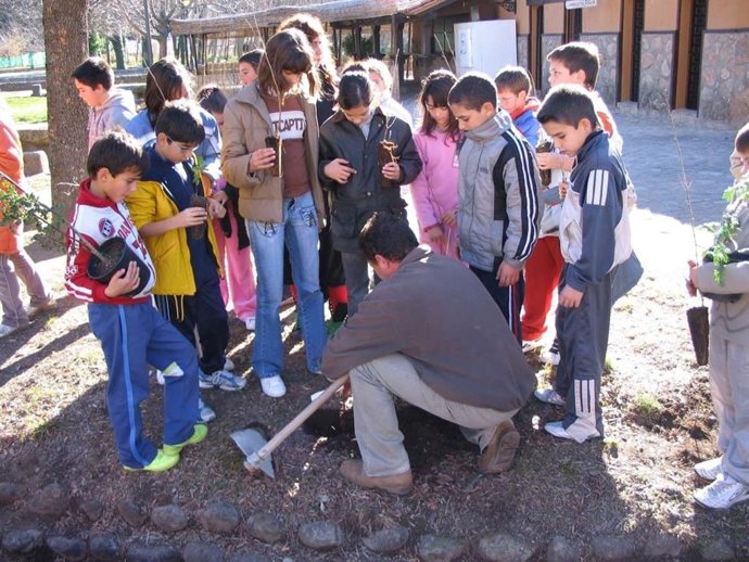 Actividad de reforestación