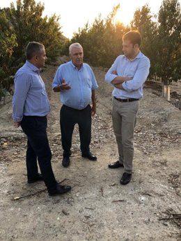 El diputado regional del Partido Popular, Jesús Cano