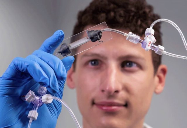 Los investigadores desarrollaron un medio transparente para permitirles observar el flujo del polímero.