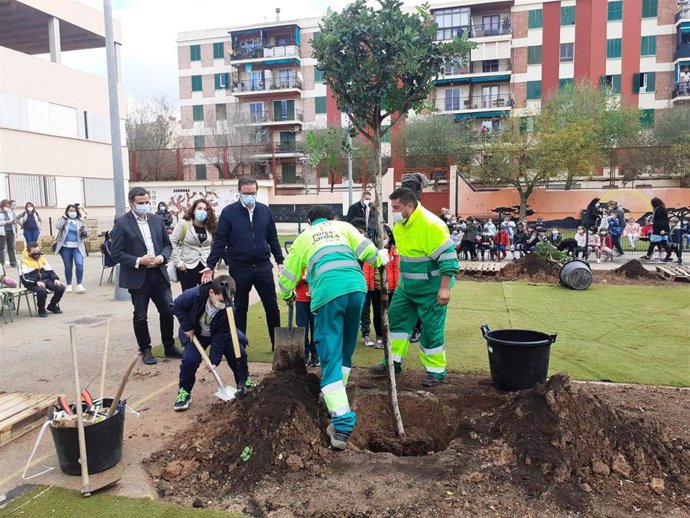 Siembra de un árbol en el CEIP Miquel Porcel.
