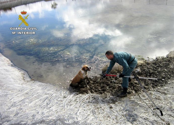 Imagen del rescate del perro en la balsa de riego