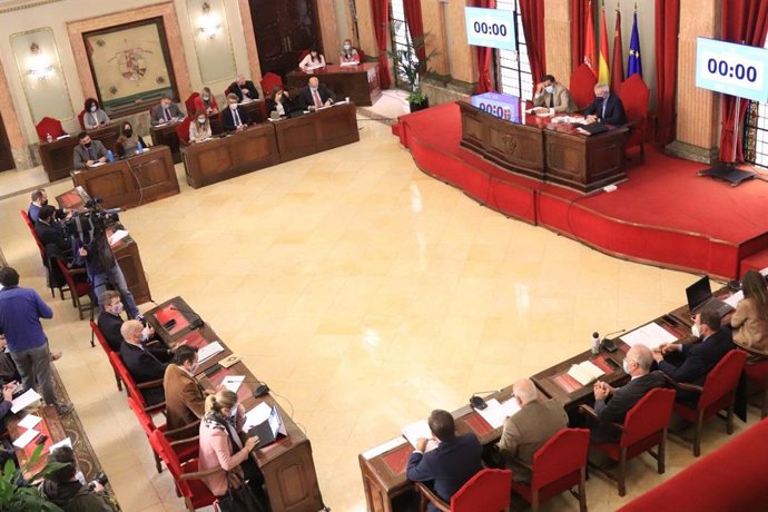 Imagen del Pleno extraordinario