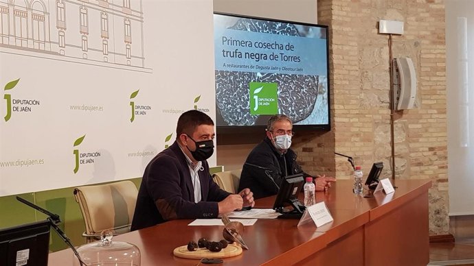 Presentación de la primera cosecha de trufa negra de Torres