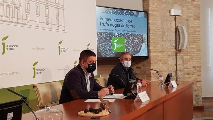 Presentación de la primera cosecha de trufa negra de Torres