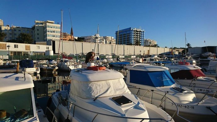 Un buitre leonado en el puerto de La Bajadilla de Marbella (Málaga) rescatado