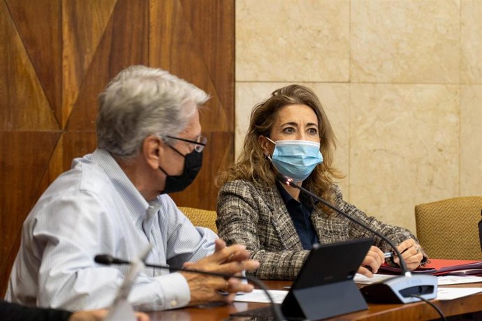 El consejero de seguridad y emergencia del Gobierno de Canarias, Julio Pérez y la ministra de Transportes, Movilidad y Agenda Urbana, Raquel Sánchez, durante su reunión con el comité de crisis de Pevolca
