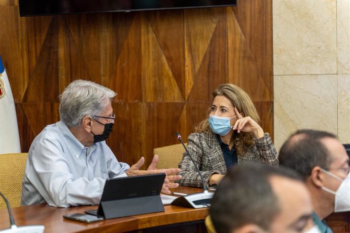 El consejero de seguridad y emergencia del Gobierno de Canarias, Julio Pérez y la ministra de Transportes, Movilidad y Agenda Urbana, Raquel Sánchez, durante su reunión con el comité de crisis de Pevolca