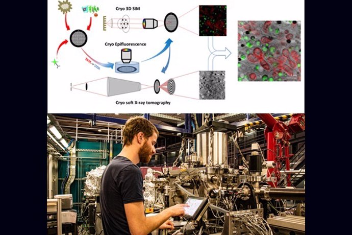 La luz de sincrotrón revela la eficacia de un nuevo nanomaterial