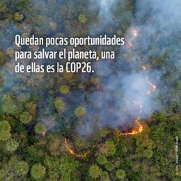 "La Creciente Emergencia Climática Está Abocando A Nuestro Planeta A Las Llamas". Artículo De WWF En La COP26