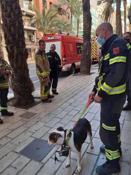 Rescatado un perro que llevaba una semana abandonado en un patio y era alimentado por vecinos