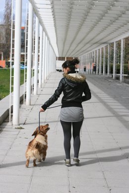 Archivo - Una chica paseando a su perro con la correa