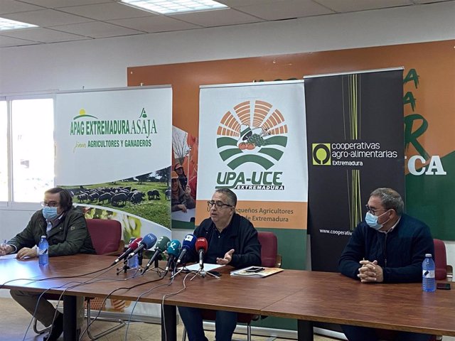 UPA_UCE Extremadura, Asaja y Cooperativas Agroalimentarias exigen a la industria subir el precio que reciben los tabaqueros