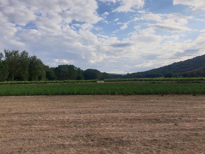 Campos agrícolas en Cantabria