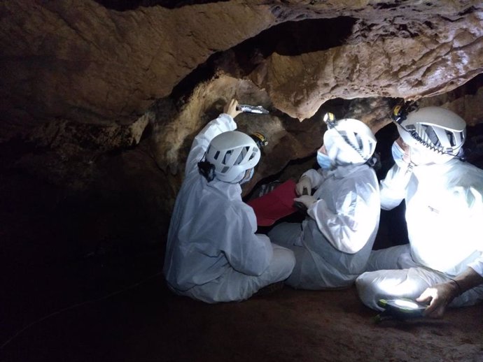 Expertos toman muestras en la cueva de Maltravieso en Cáceres