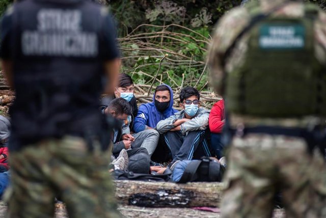Archivo - Migrantes en la frontera entre Bielorrusia y Polonia