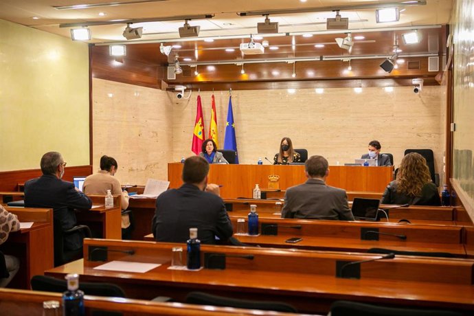 La directora del Instituto de la Mujer, Pilar Callado, comparece en las Cortes regionales para dar cuenta del informe de la Ley 4/2018 para una Sociedad Libre de Violencia de Género en Castilla-La Mancha relativo al año 2020.