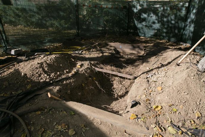Imagen de la cata en los árboles del Paseo de Sarasate.