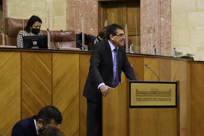 Rafael Segovia, diputado de Vox, en el Parlamento andaluz.