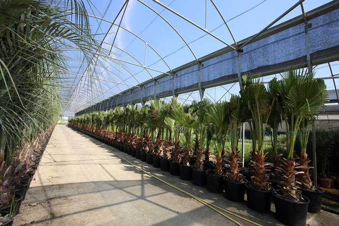 Archivo - Vivero Provincial de la Diputación de Badajoz