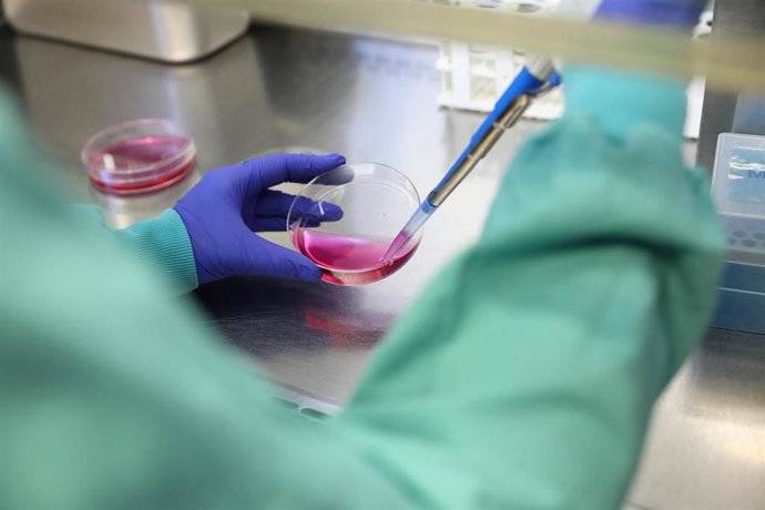 Archivo - Una bióloga trabaja en un laboratorio. 