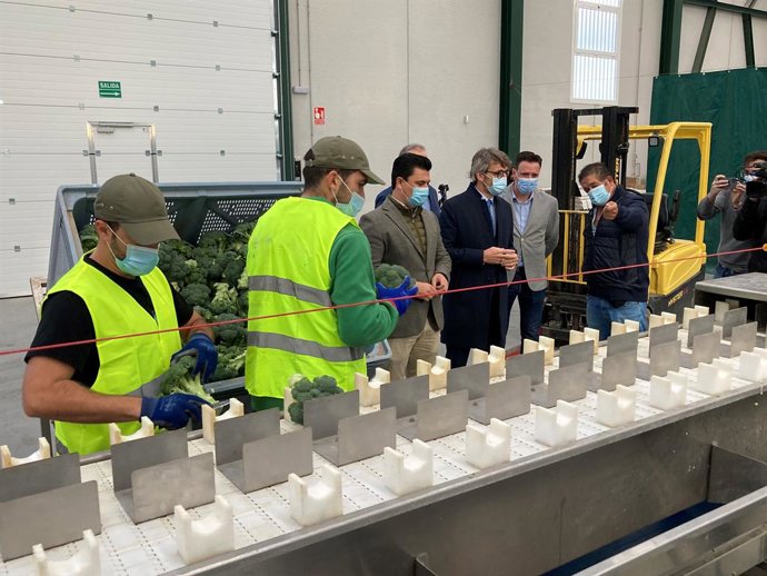 Imagen de la visita del consejero de Economía, Hacienda y Administración Digital, Luis Alberto Marín, y el alcalde de San Javier, José Miguel Luengo, en su visita Bio Organic Mar Menor, empresa que se ha beneficiado de la línea Financia-Agro